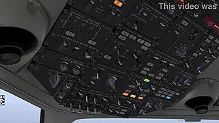 Ready to fire up that shemale flight in xp11?