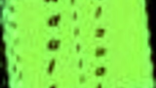 small titted teen enjoys summertime adventures