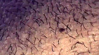 Naughty housewife strokes husband's throbbing cock with handjob until explosive orgasm