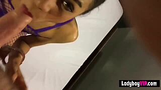 Flat Chested Asian Ladyboy Teen Barebacks in Fishnet