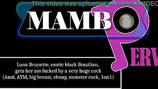 luna's huge ebony tits bounce as monster cock wrecks her brazilian ass atm!