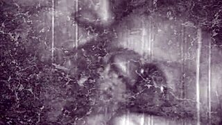 A victorian gentleman's secret erotic confessions reveal step grandmothers' hairy beaver sins in retro lantern tales