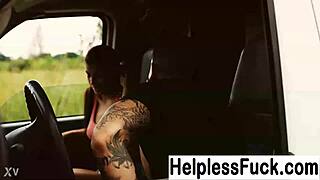 Hey, spotted a cute hitchhiker today