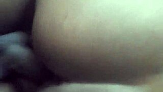 Continuing the understanding journey part two with new insights