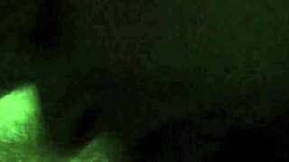 why is this escort sucking my cock in the hotel room?