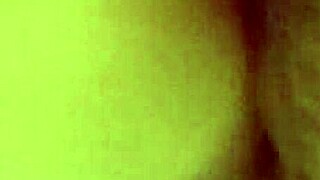 Another Quick Video With My Mexican Companion