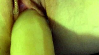 Exploring My New Toy Collection