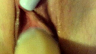 Exploring My New Toy Collection