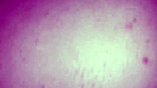 Dirtydee bends over for wet doggystyle moaning on that dirty cock 😈