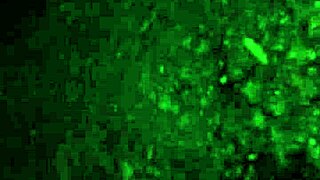 fucking the busty beauty with overwhelming desire and passion