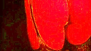 rica morena sw flaunts her sexy ass and tits in homemade amateur video