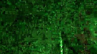 Ugly woman expertly sucks massive cock