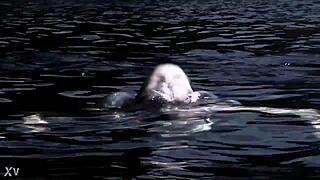 Supernatural sexy bikini girl swimming, damn she’s hot in that outfit! 🔥