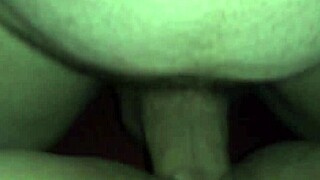 Early morning hardcore sex with a wild cat