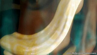 hey, check this bollywood princess dancing nude and teasing