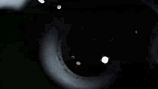 my secret vintage pussy collection with hairy beavers and antique vibes 😉