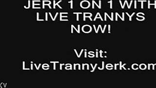 Crossdressing shemale gets off on live cam