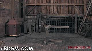 Discover the Intriguing World of Hardcore Adventures in a Neutral Setting