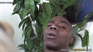 Interracial couple's steamy encounter with a well-endowed black partner