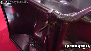 What Secrets Lie Behind the Incubus Mystery Unveiled?