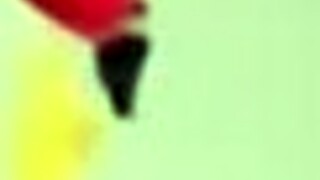 i watch my wife in a double blowjob and penetration with russian sluts