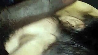 Toni c gives blowjob to big black cock