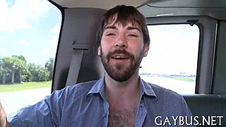 Detailed Homosexual Sex Scene Featuring Gay Partners in Intimate Acts.