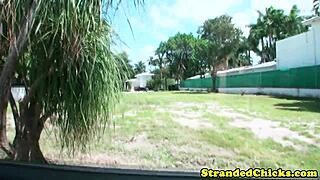 hitchhiker blonde says, i’ll jerk your dick for a ride, deal?