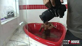 samira ferraz and fabio lavatti behind the scenes action