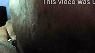 African American amateur receives oral pleasure on her clitoris