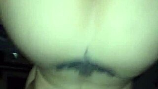 Cock riding expert shows off in New York