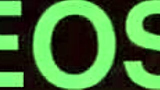 Melina Khalifa gives her pussy in the woods for strangers!