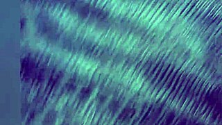 Anal with My Wife's Prostitute at Year's End 2018!