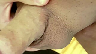 Tribut Für Elpapi219