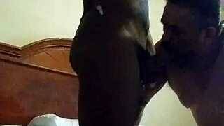 Black shemale pounds latino