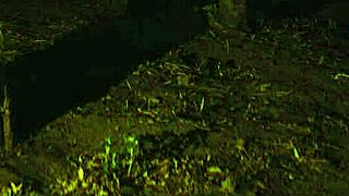 जंगल सेक्स