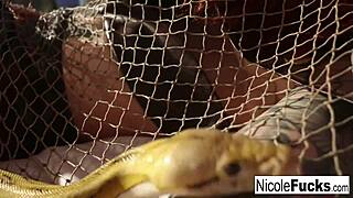 hot pornstar nicole aniston hunts a minotaur and milks his big cock