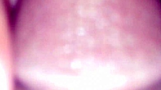 B's Emotional Journey