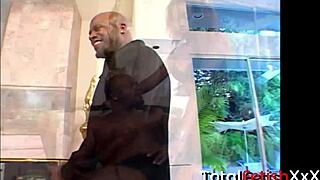 Tattooed shaved lady armani gives intense blowjob and handjob