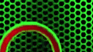 Skinny Brunette Sucks Feet and Fucks Narrow Ass Fetishly