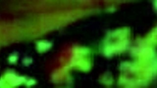 Perla Riding Passionately, Feeling The Intense Pleasure As She Moves Nicely