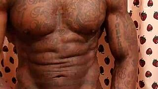 Hallelujah johnson worships big black hairy cock