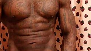 Hallelujah johnson worships big black hairy cock