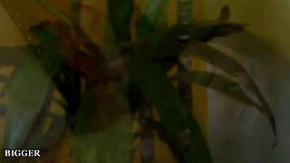 Hot Biker Slut Skyye Blues Uses Dildo on Her Ass in Heels