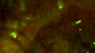 Hey, My Uncle Is Masturbating My Hairy Pussy.