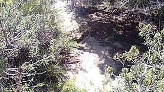 Gay outdoor blowjobs with big dicks and cumshots