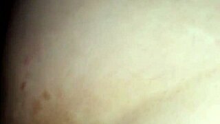 Amateur milf esposa explores her intimate desires in lively encounters.