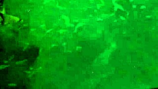 Uncle And Nephew Fuck Brunette Sara Rosa In Doggystyle And Oral