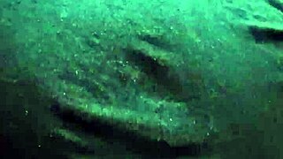 How Easy Is My Tight Ass