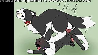 Gay Furry Porn Compilation Anal Sex Edition!